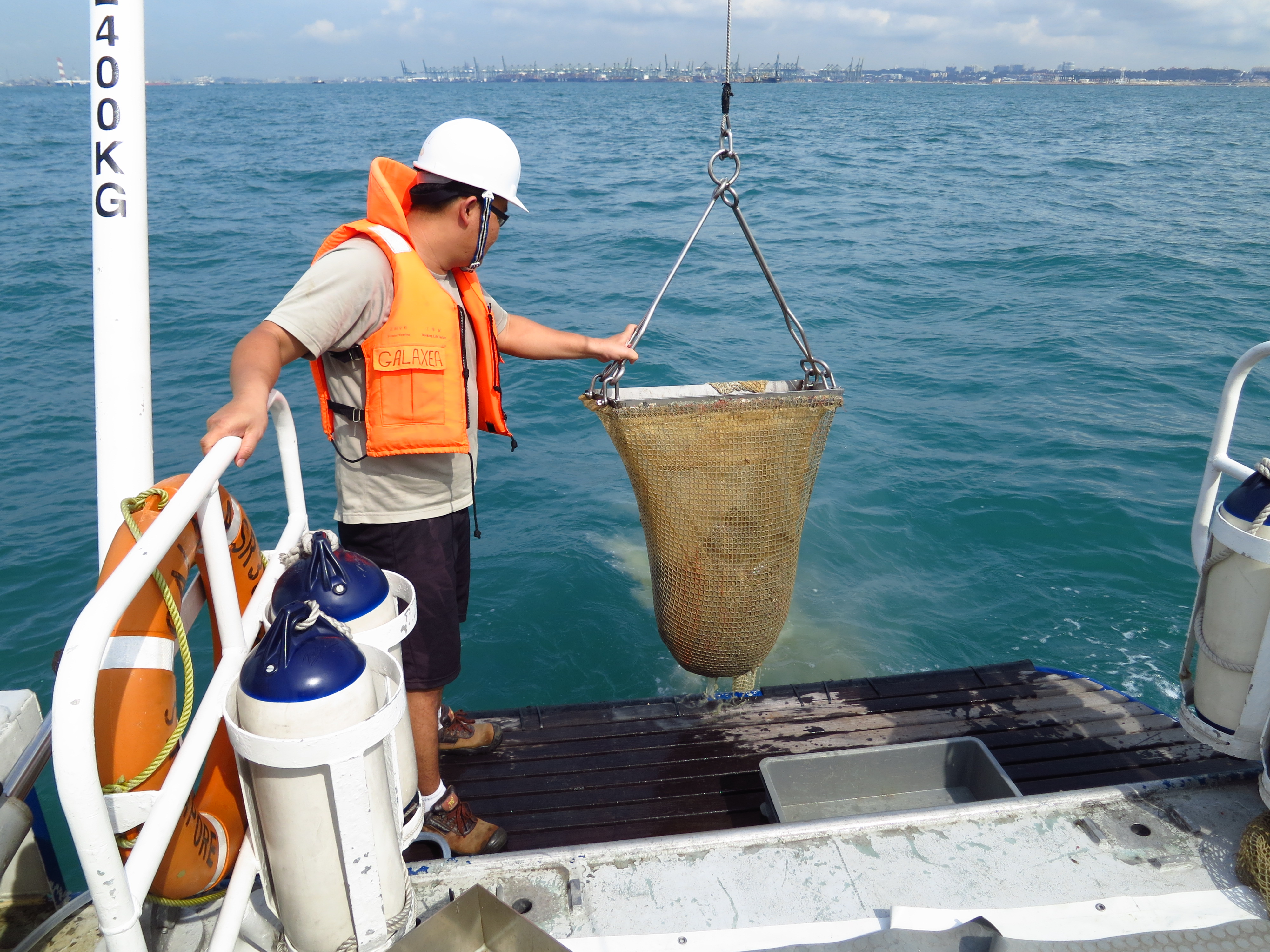 Marine Biodiversity Survey of Southeast Asia